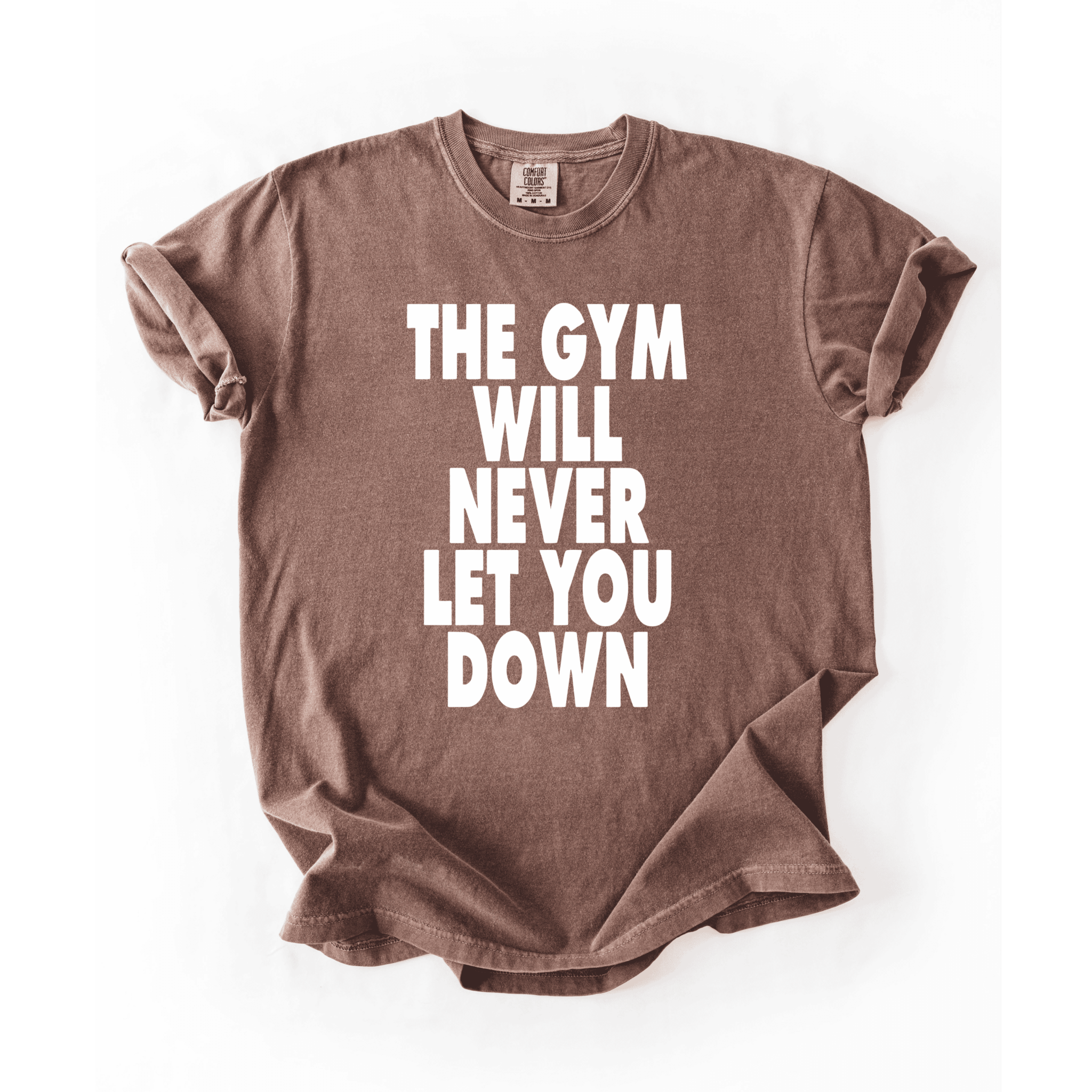 The Gym Will Never Let You Down T-Shirt - LEGDAY EVERYDAY