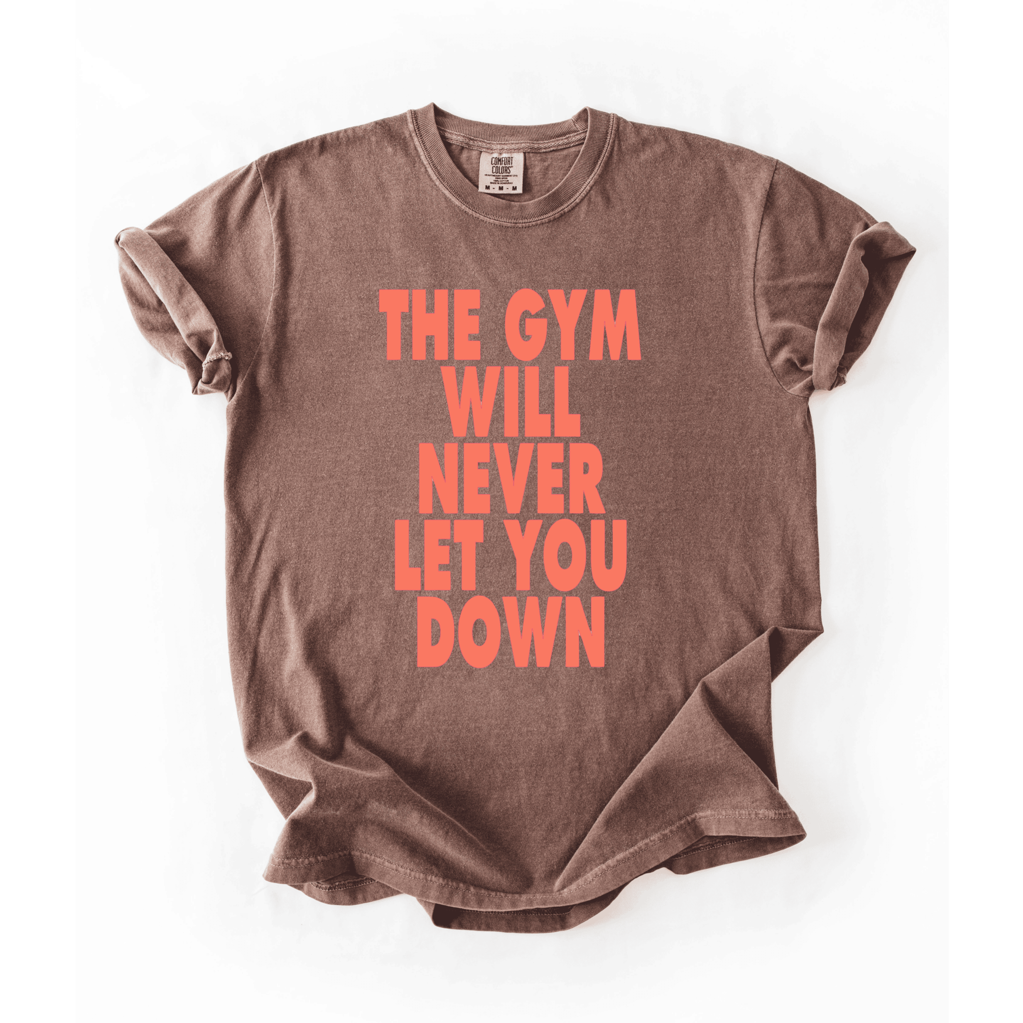 The Gym Will Never Let You Down T-Shirt - LEGDAY EVERYDAY